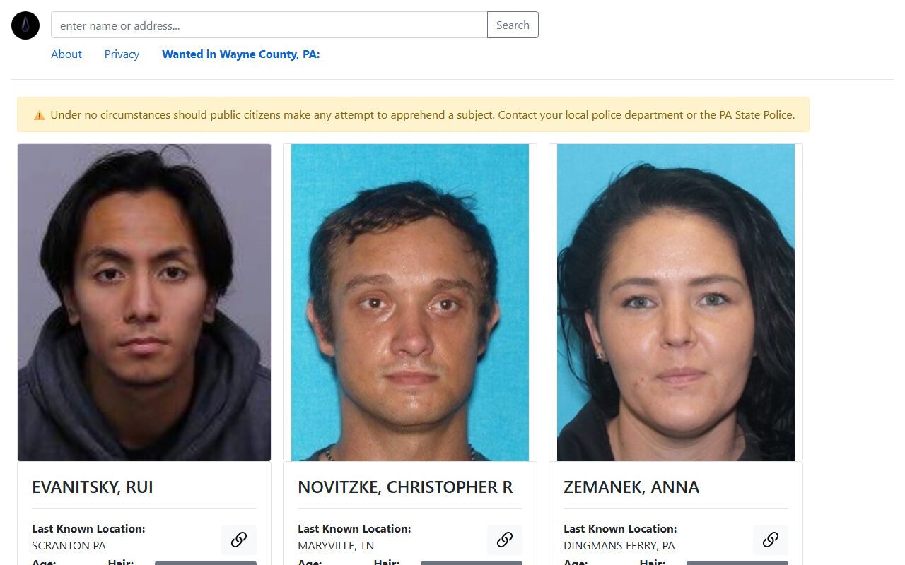 Wayne County court records after arrest warrant card source